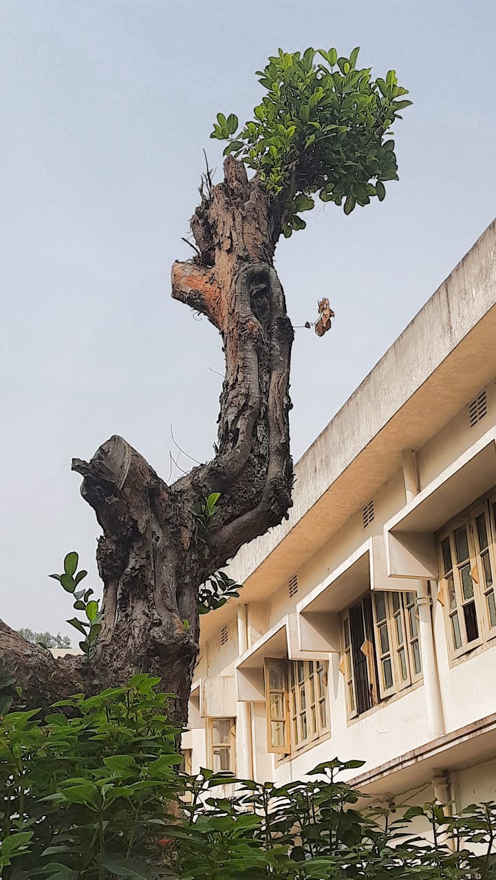মৃত্যুর প্রান্তে জীবনের হাতছানি 
