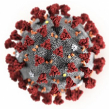 করোনা- ১৯ কার্যক্রম