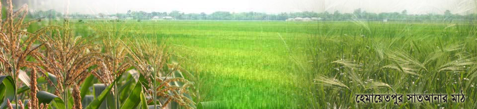 হেমায়েতপুর সাতআনার মাঠ