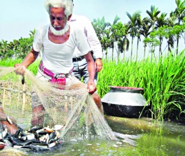 বিবিধ