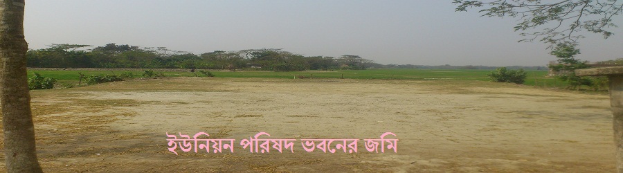 ইউনিয়ন পরিষদ ভবনের জমি