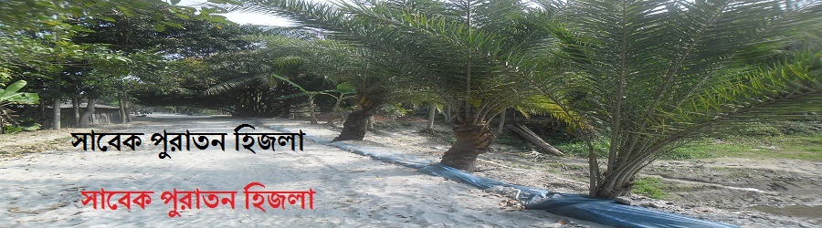 সাবেক হিজলা
