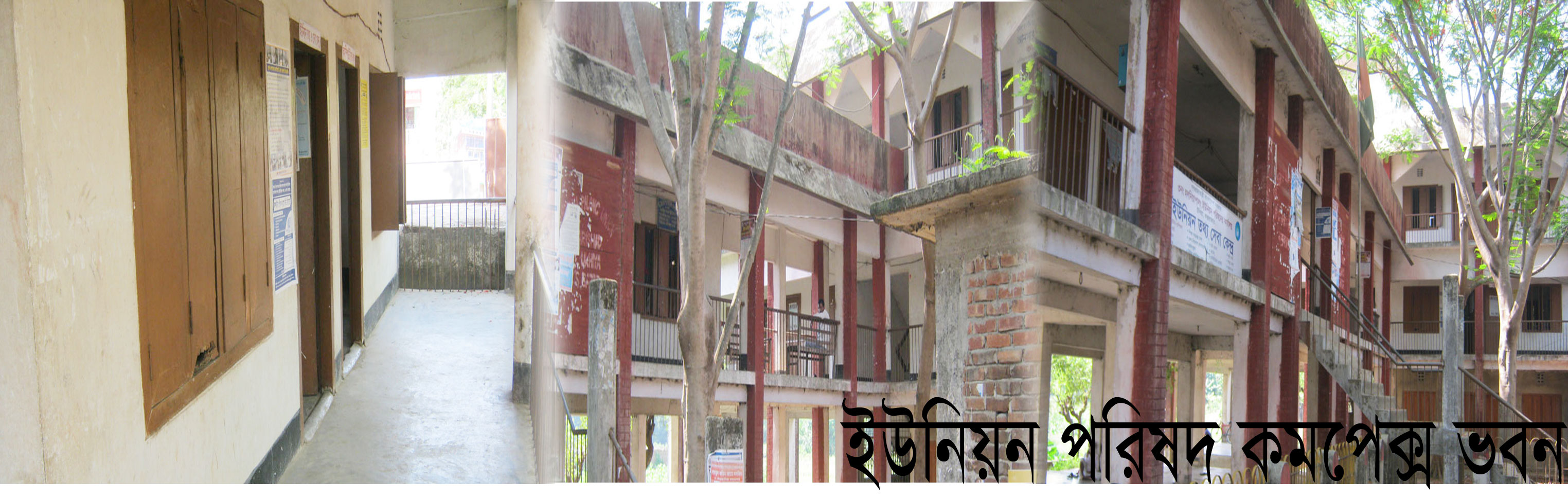 ব্যানার