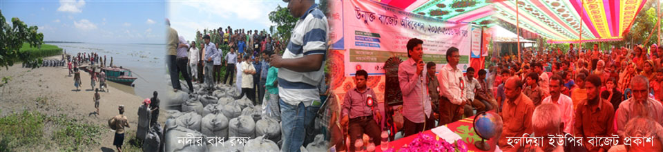 হলদিয়ার চিত্র