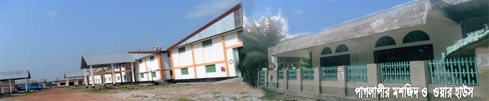 পাগলাপীর মশজিদ ও গোডাওন