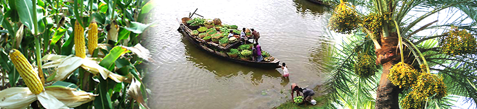 গ্রাম বাংলার দৃশ্য