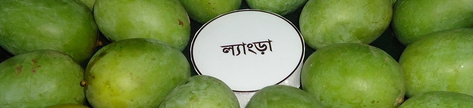 ব্যানার-১
