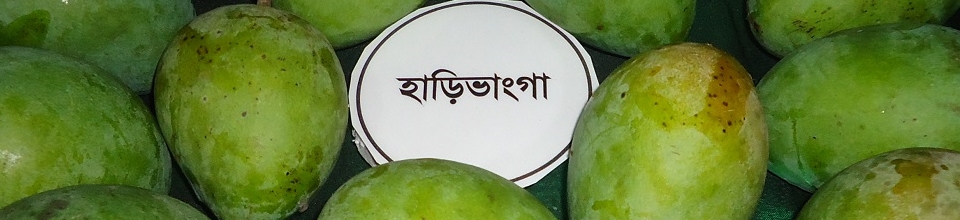 ব্যানার-২
