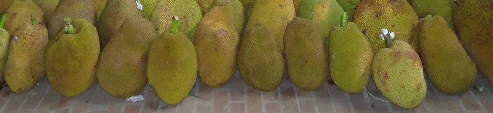 ব্যানার-৮