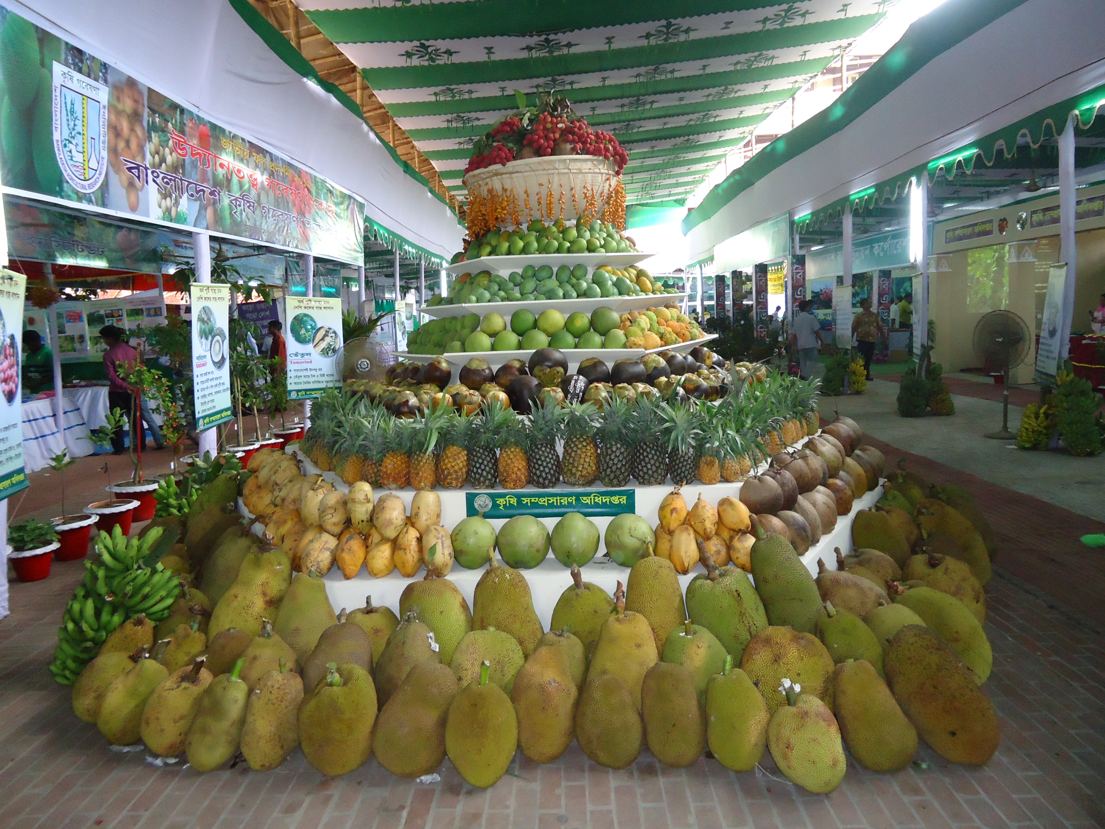 বাংলাদেশের ফল উৎপাদনের তথ্য