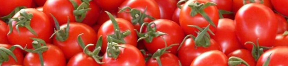 ব্যানার-৩