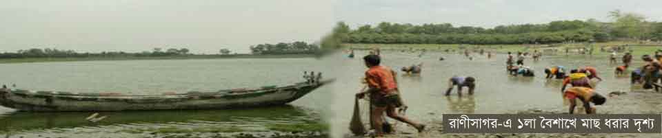 রামরায়