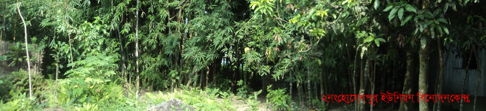 হোসেনপুর ইউনিয়ন বিনোদন কেন্দ্র