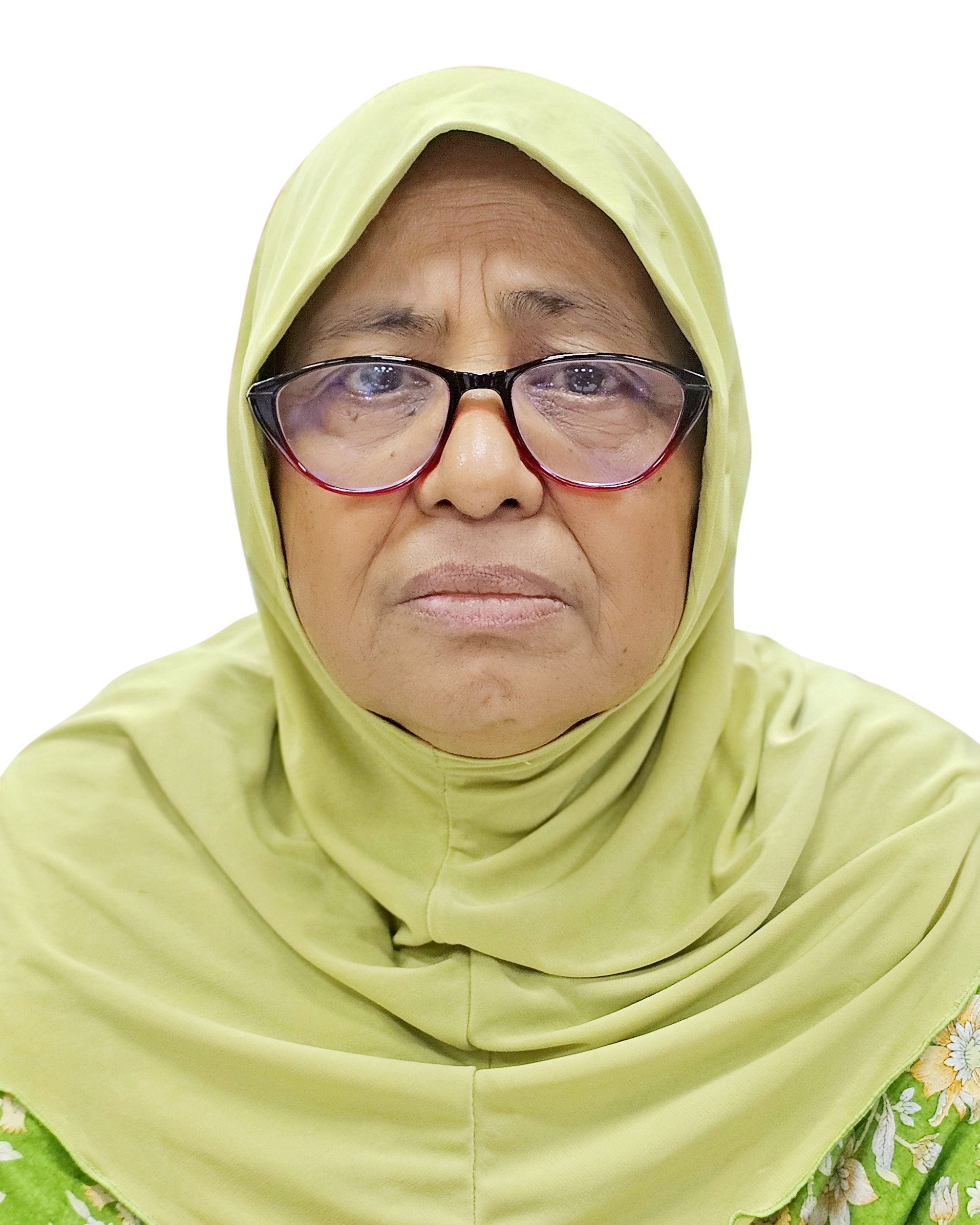 মাননীয় উপদেষ্টা 