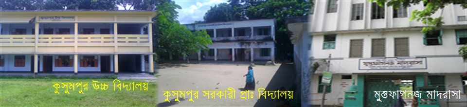 কুসুমপুর উচ্চ বিদ্যালয়, কুসুমপুর সরকারি প্রাঃ বিদ্যালয়, মন্তফাগনজ মাদরাসা