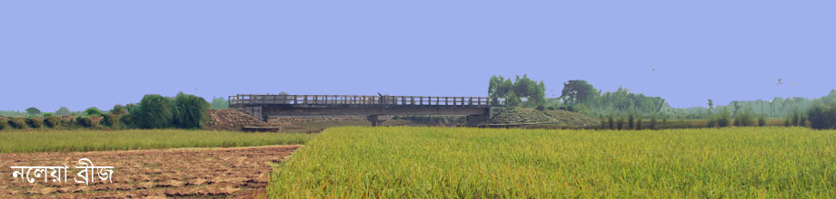 নলেয়া ব্রীজ