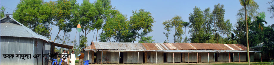 তরফ সাদুল্লা এস দাখিল মাদ্রাসা