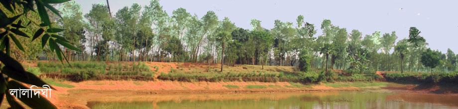 লালদিঘী