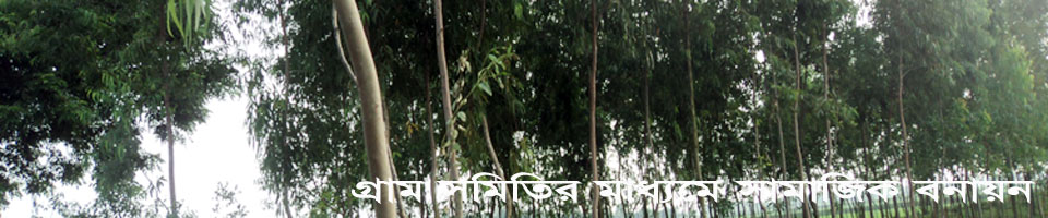 প্রথম পাতার সেবা বক্স