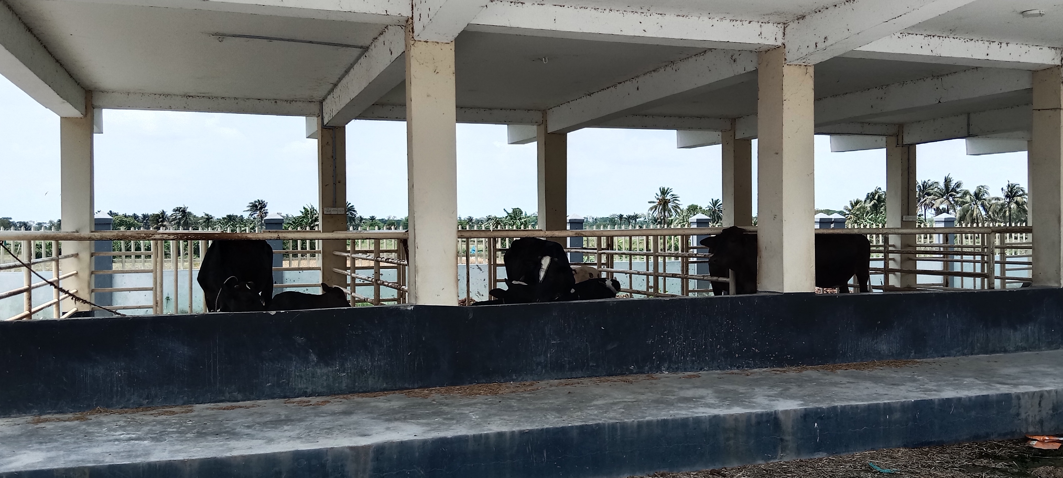 Service Process Simplification