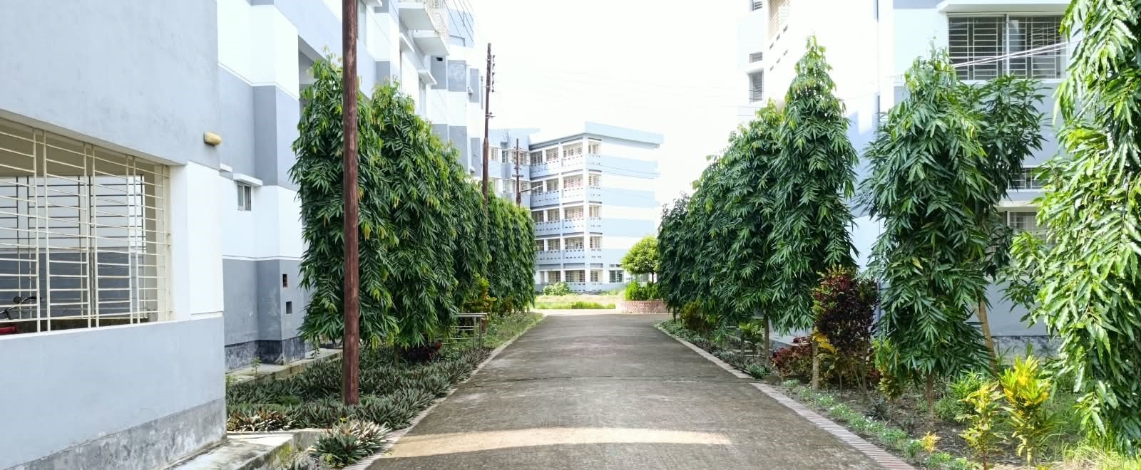 রাস্তার ছবি