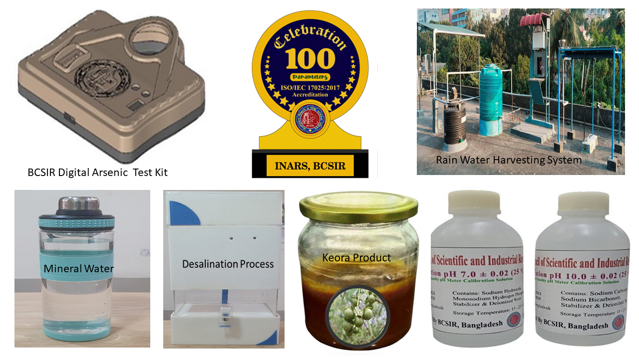 Research and Development Project of INARS