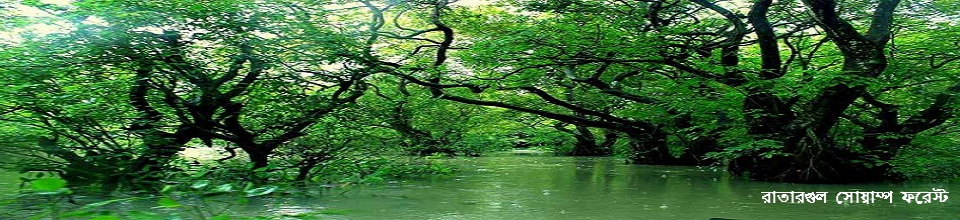 রাতারগুল