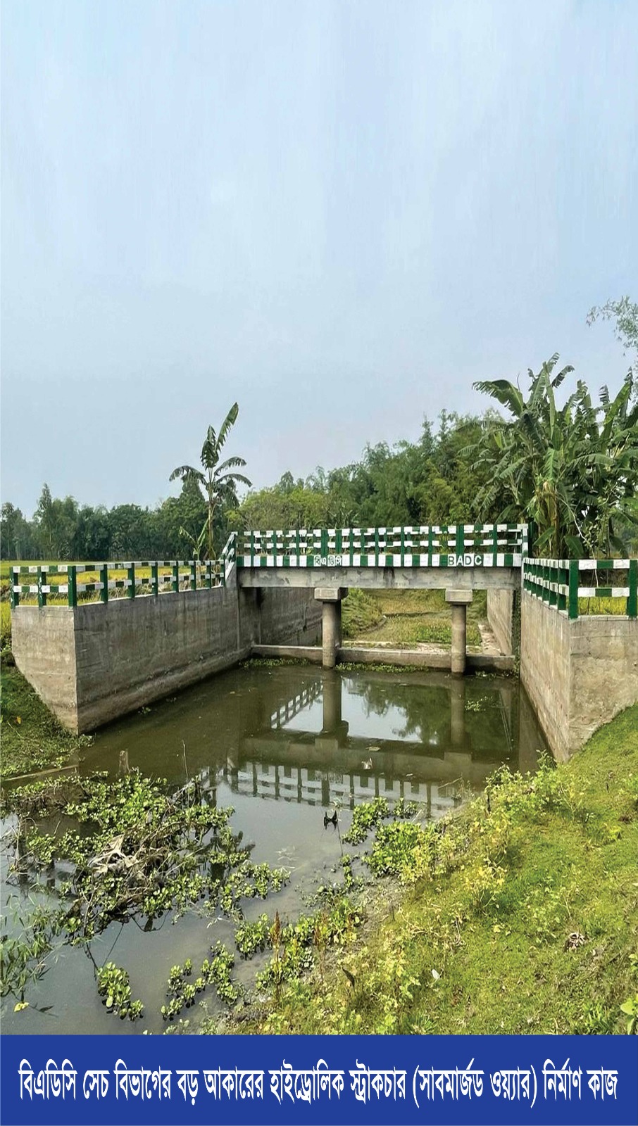 হাইড্রোলিক স্ট্রাকচার (সাবমার্জড ওয়্যার)