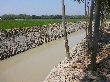তথ্য অধিকার