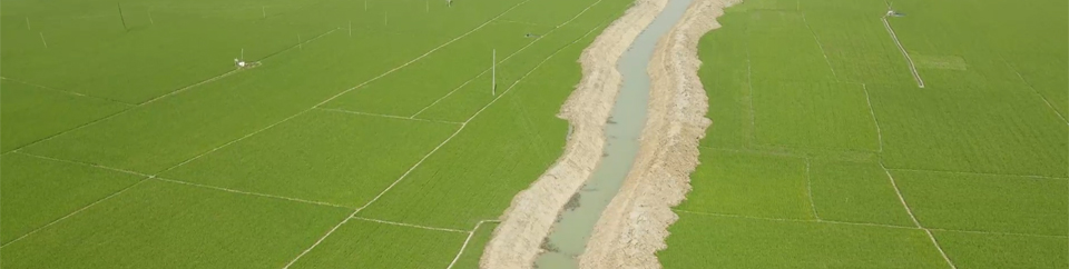 খাল পুনঃখনন