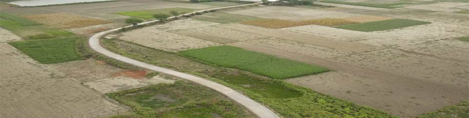 আরসিসি গোপাট