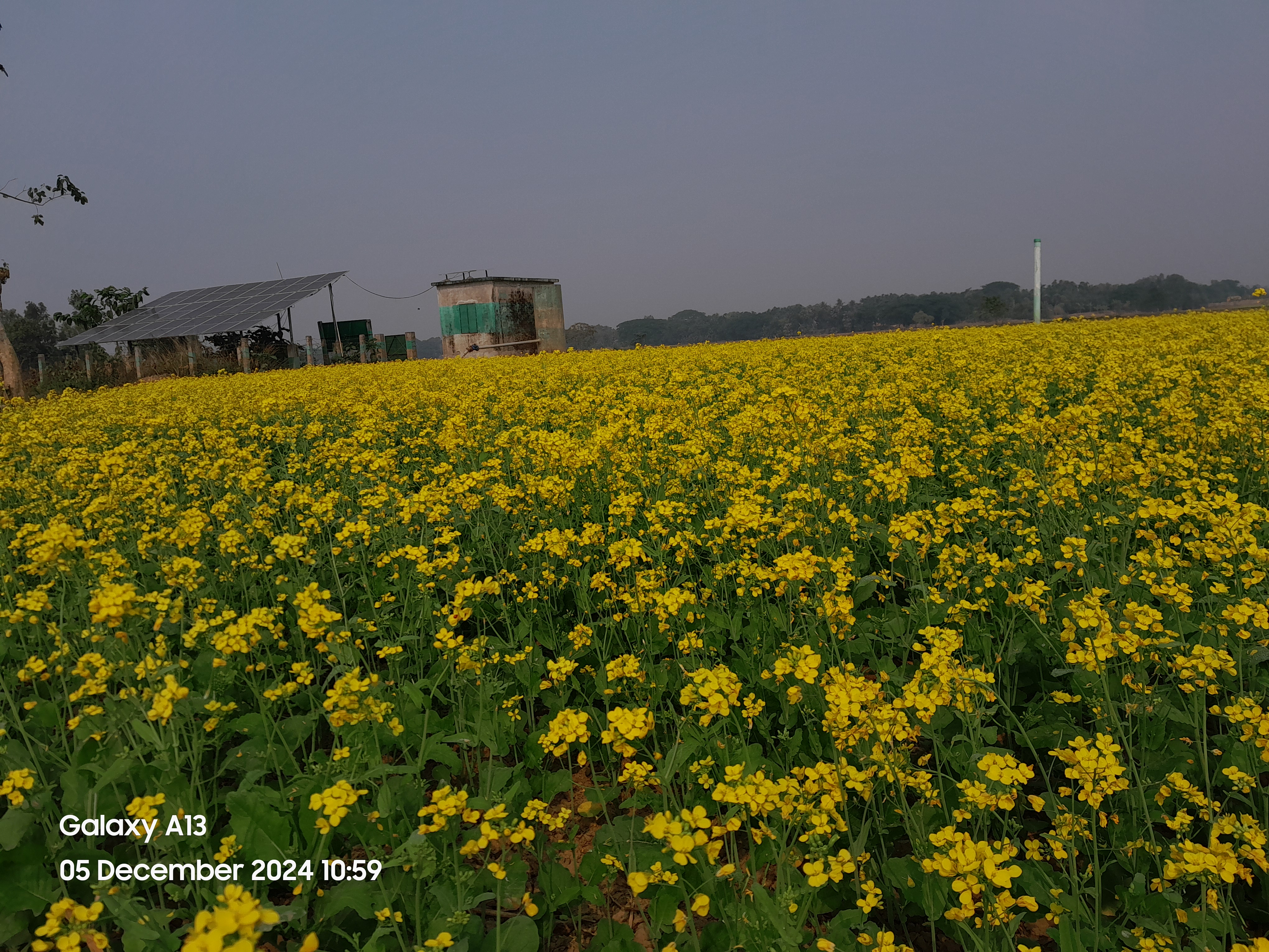 সেচ পাম্প