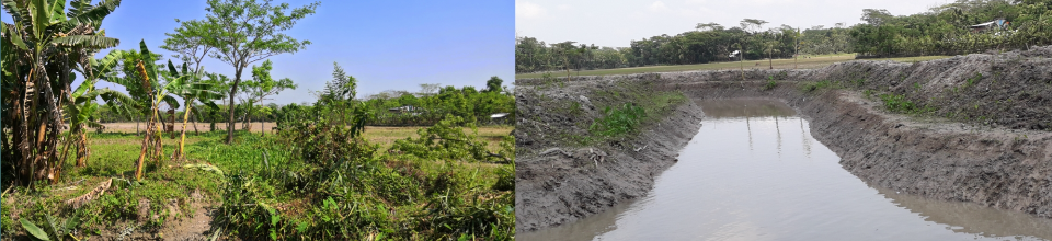 বিএডিসি