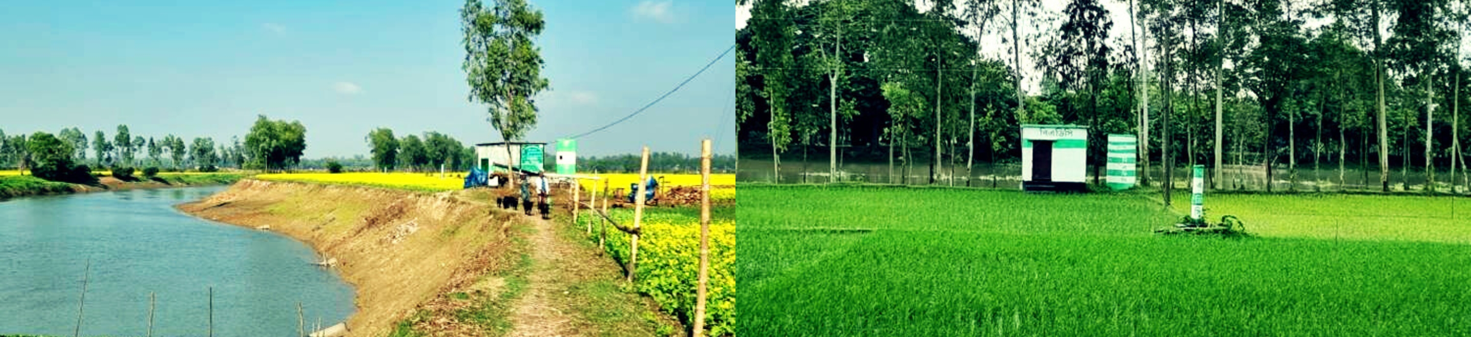 ২ কিউসেক এলএলপি স্কিম