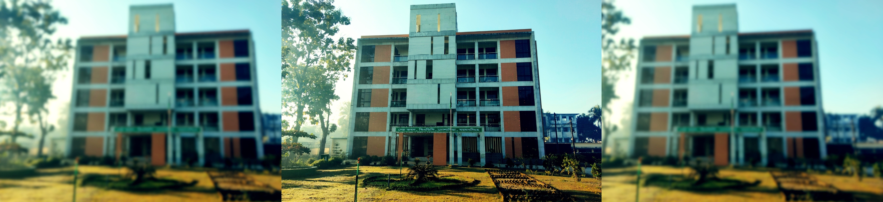 অফিস ভবন