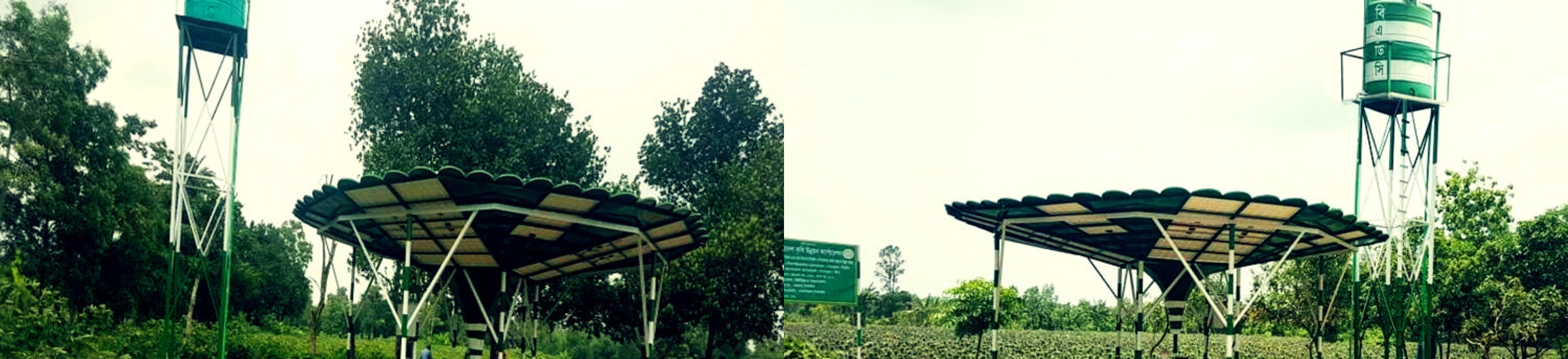 সোলার ডাগওয়েল