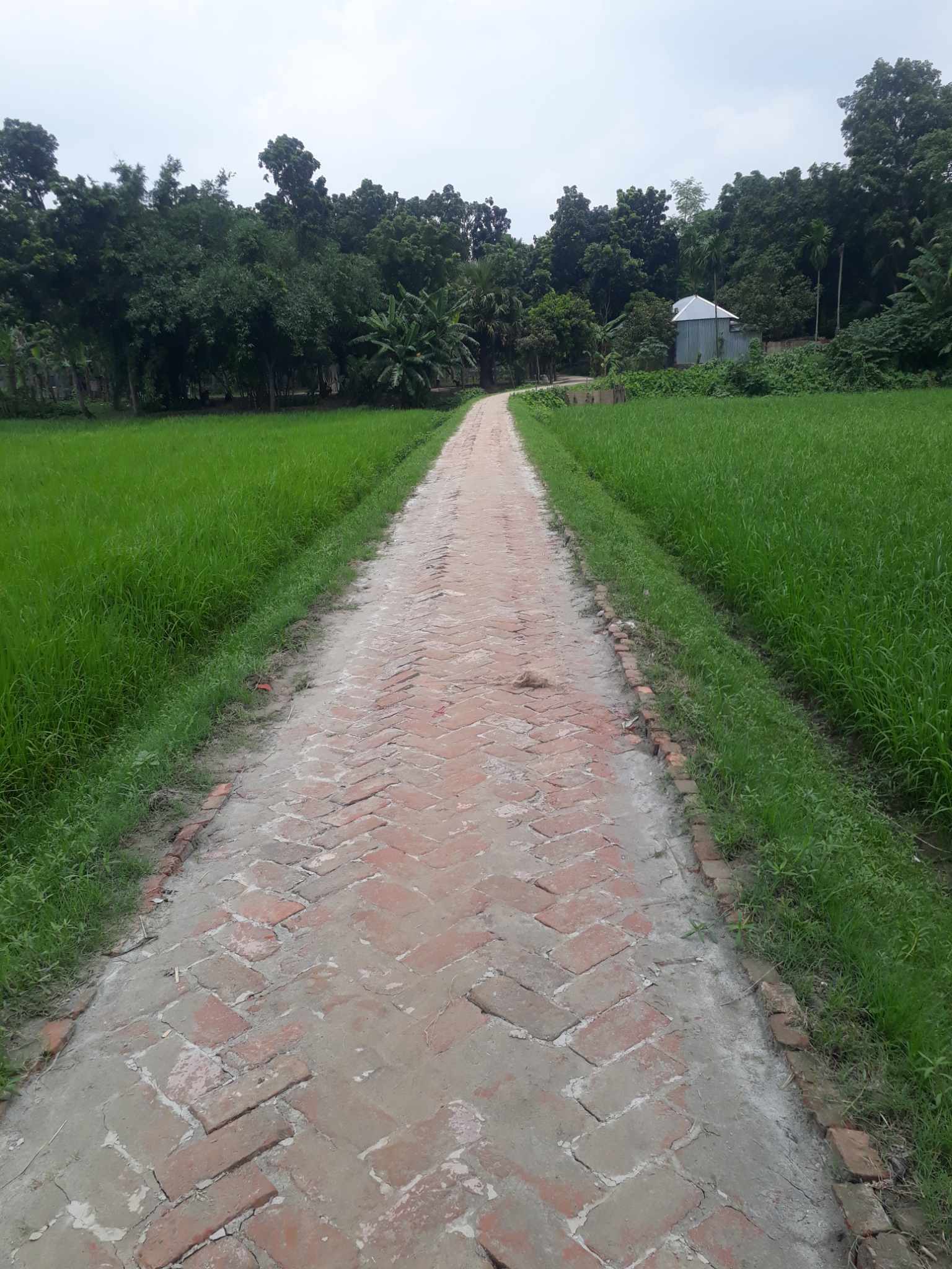 বিভিন্ন প্রকল্পের ছবি