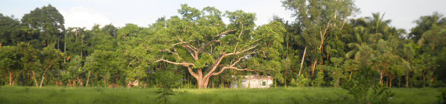 ইসলামাবাদ ইউনিয়ন