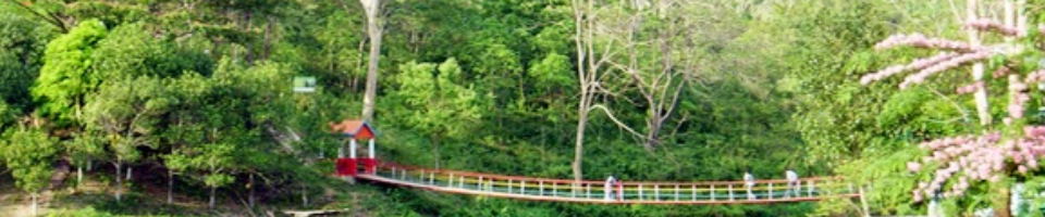 গদনফভফমদজ ড়ফগাবগেমগ