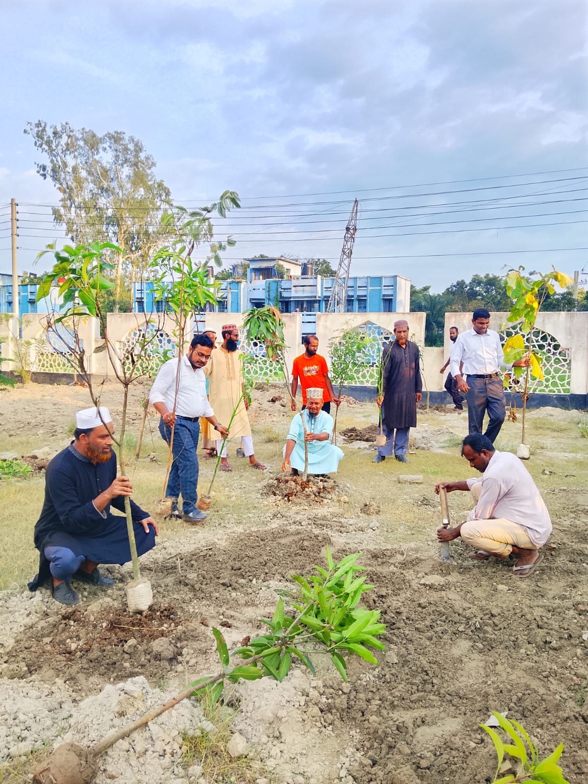 বৃক্ষরোপণ কর্মসূচি