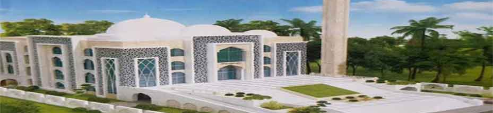 মডেল মসজিদ