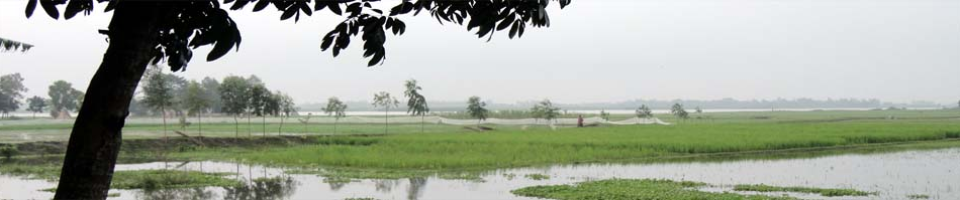 প্রাকৃতিক দৃশ্য