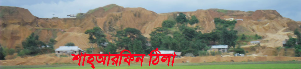 ১) শাহআরফিন ঠিলা