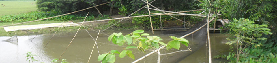 নেট-জাল
