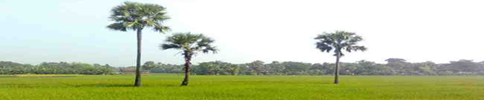 ইসলামপুর ইউনিয়ন