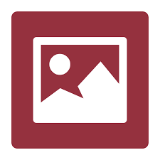 ফটো গ্যালারী