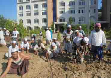 প্রশিক্ষণাখীদের ইমামদের কৃষি বিষয়ক ব্যবহারিক প্লট প্রস্তুত।