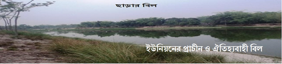 ব্যানার