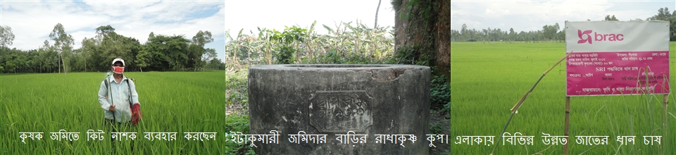 বিবিধ তথ্য