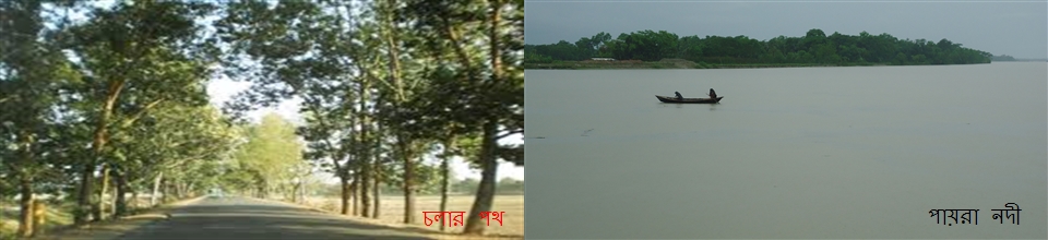 পায়রা নদী